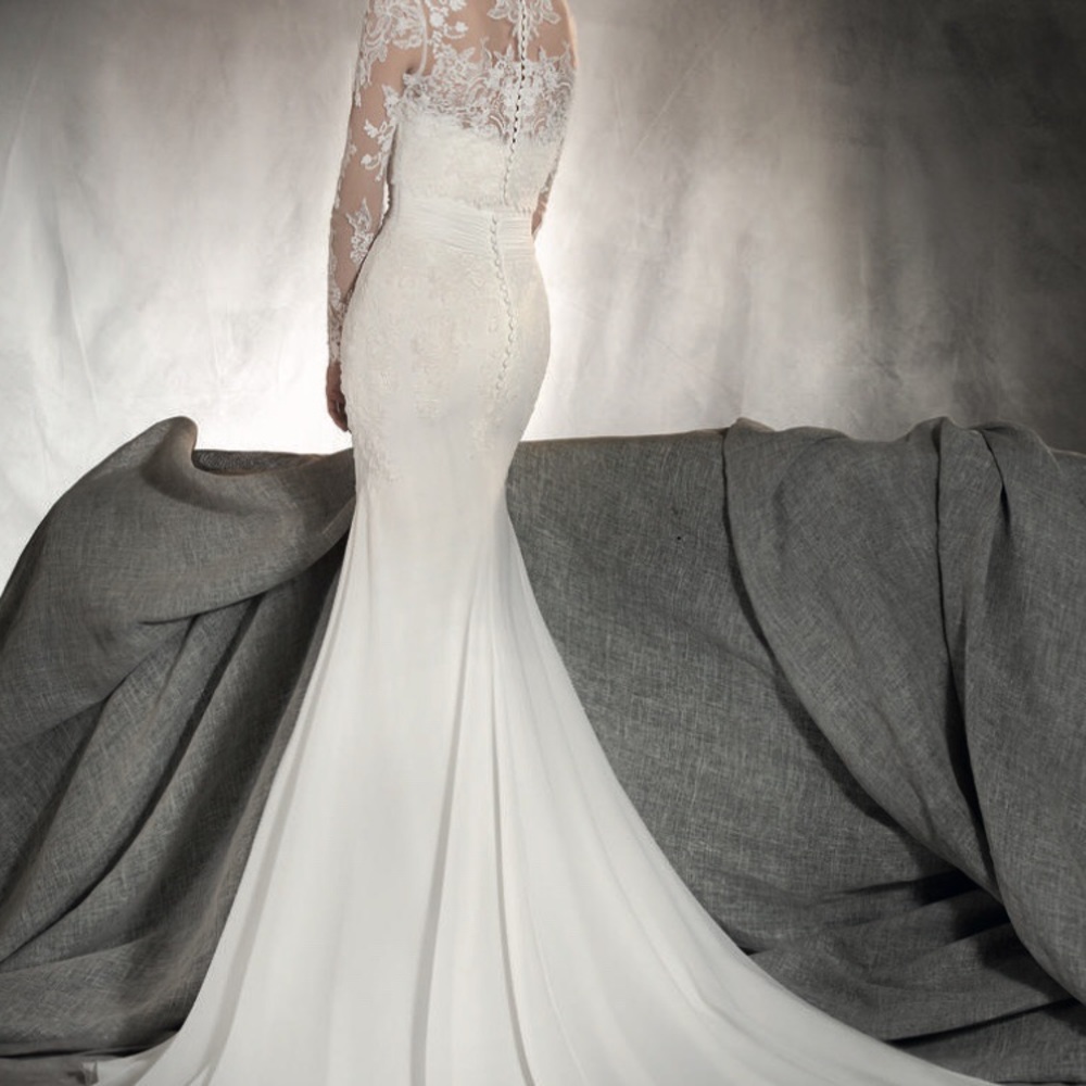 Wedding Dress - Pronovias Ariella Dress